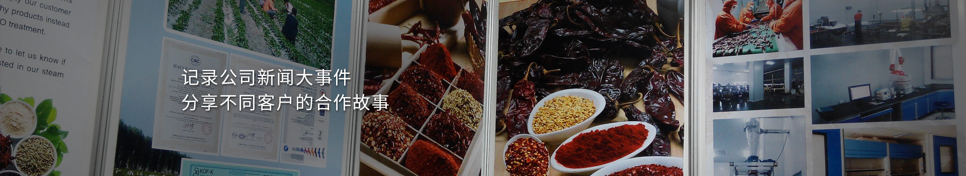 大豐食品：記錄公司新聞大事件，分享不同客戶的合作故事